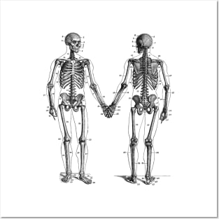 Skeletons Holding Hands Posters and Art